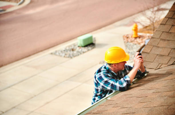 Best Roof Moss and Algae Removal  in Catahou, LA